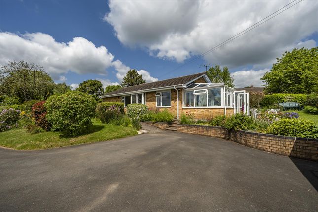 Thumbnail Bungalow for sale in Ullingswick, Hereford