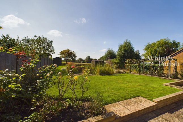 Link-detached house for sale in Greys Manor, Banham, Norwich