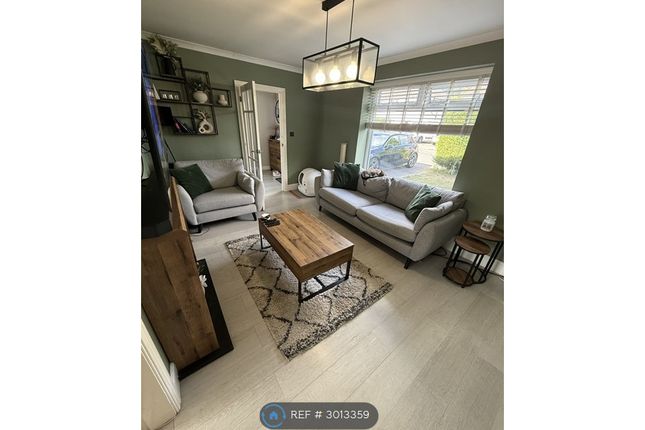 Tremayne Road, Nottingham photo 5