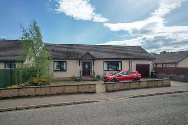 Thumbnail Detached bungalow for sale in Dundee Road, Letham