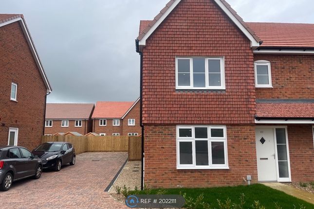 Thumbnail Semi-detached house to rent in Trinder Road, Wokingham