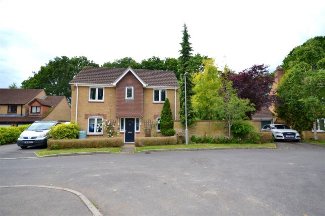 Thumbnail Detached house for sale in Albion Way, Verwood
