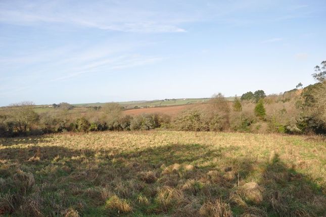 Land for sale in Fore Street, Probus, Truro