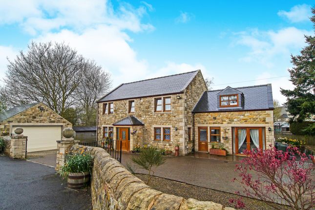 buy house in bellingham wa