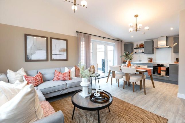 Plot 318 The Herdsman,, Springstead Village, Cambridge photo 4