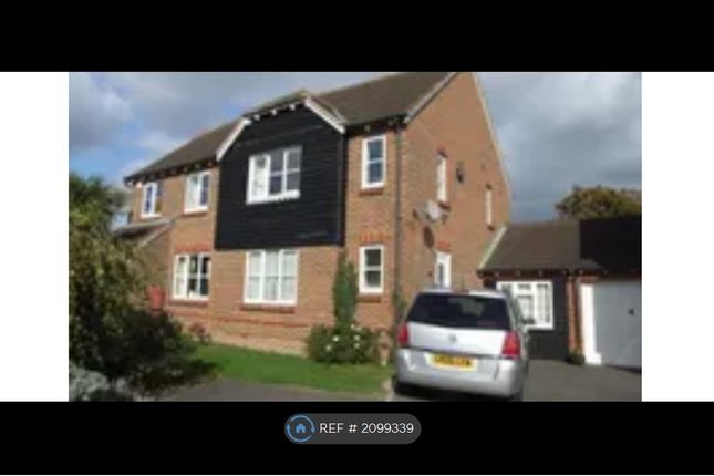 Thumbnail Semi-detached house to rent in Orwell Close, Eastbourne