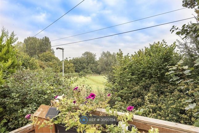 Harpenden photo 4