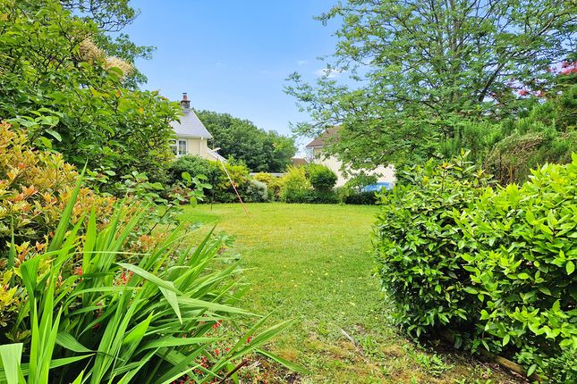 ELM TREE COTTAGE,, WEST ROAD, PORTHCAWL photo 2