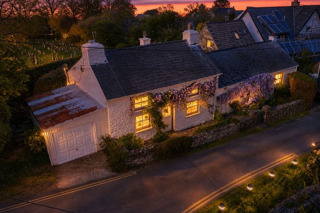 Scholars Brook Cottage, Newport photo 3