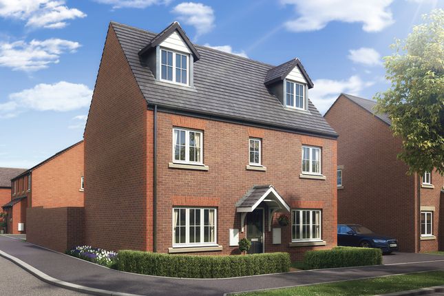 Thumbnail Property for sale in "The Blakesley" at Boughton Green Road, Northampton