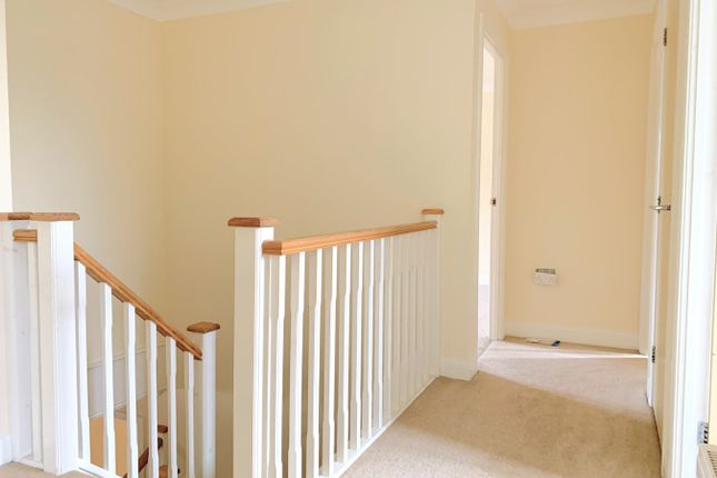 Detached house to rent in Woodlands, Bexhill-On-Sea