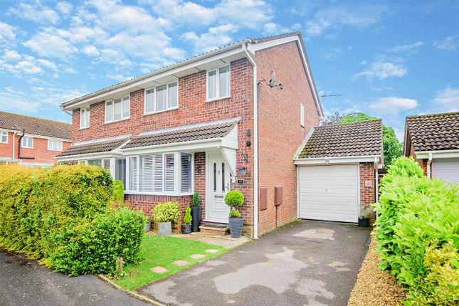 Thumbnail Semi-detached house for sale in Blackthorn Close, South Wonston, Winchester