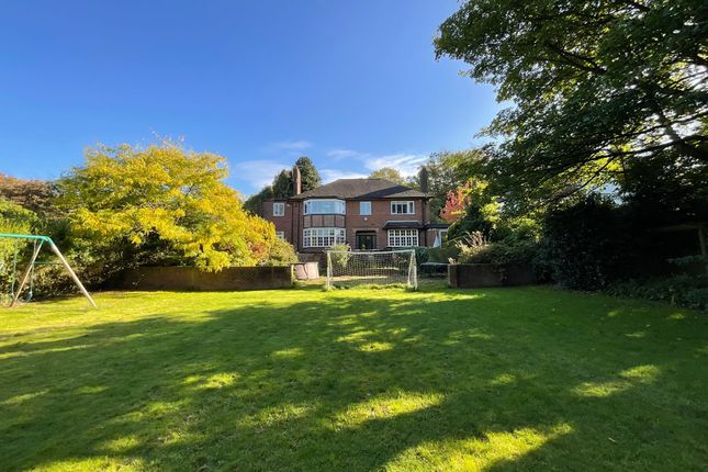 27 Sandy Lane, Newcastle photo 4