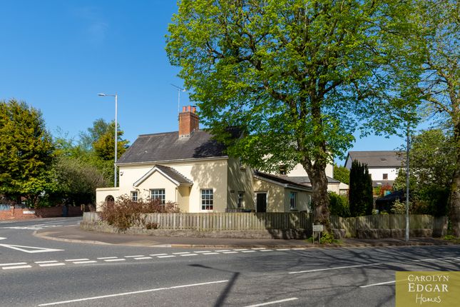 2 Massey Avenue, Belfast photo 5
