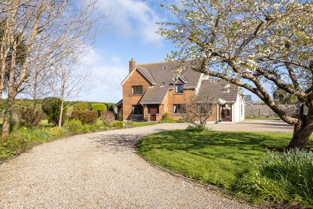 Detached house for sale in Kilrane, Rosslare Harbour, Wexford County, Leinster, Ireland