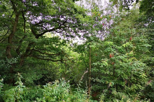 Land for sale in Woodland Plots Off Reacliffe Road, Rudyard, Leek, Staffordshire