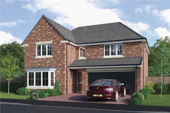 Thumbnail Detached house for sale in "The Thetford" at Elm Avenue, Pelton, Chester Le Street