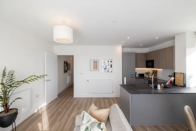 Square Roots - Hendon