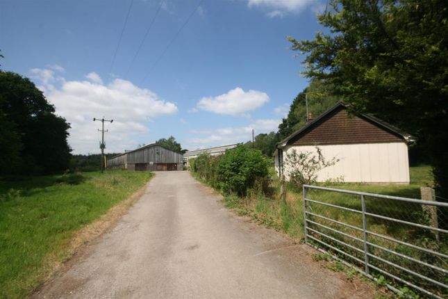 Yearlings Farm
