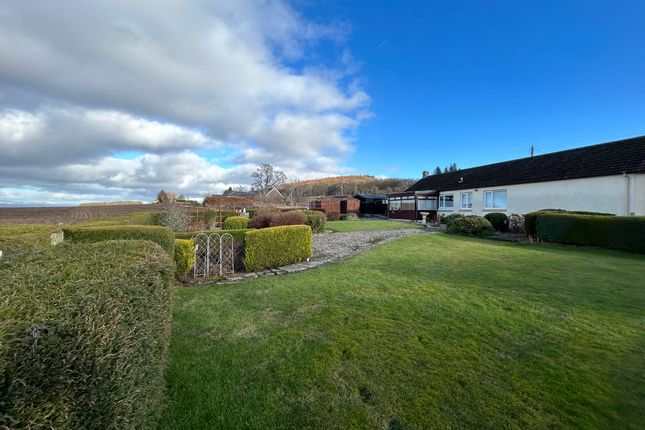 Semi-detached bungalow for sale in Leys Of Hallyburton, Coupar Angus, Blairgowrie