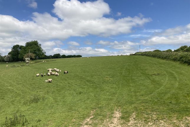 Thumbnail Land for sale in High Bickington, Umberleigh