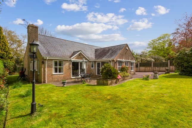 Thumbnail Bungalow for sale in Motcombe, Shaftesbury