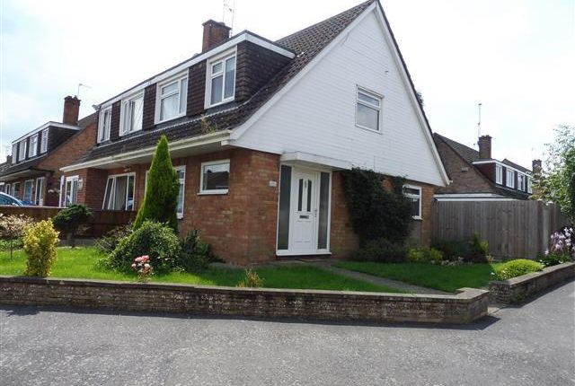 Thumbnail Semi-detached house to rent in Packer Avenue, Leicester Forest East, Leicester