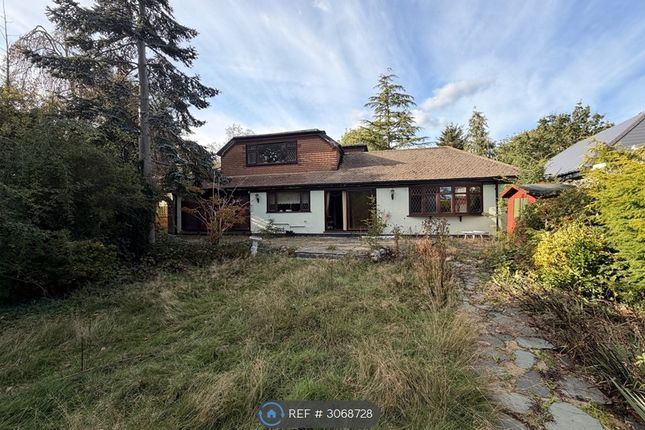 Bracken Drive, Chigwell photo 5
