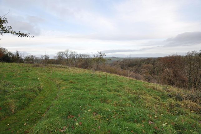 Land for sale in Cwmbach, Whitland