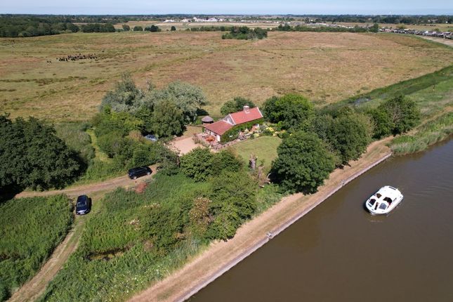 Thumbnail Cottage for sale in Marsh Wall, Ludham