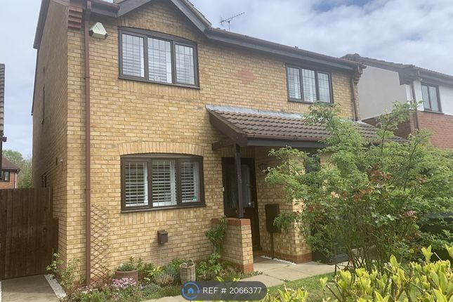 Thumbnail Detached house to rent in Huntingdon, Huntingdon