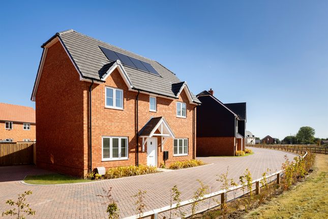Plot 0102, The Crouch A, Meadow Gardens, Clacton-On-Sea photo 4