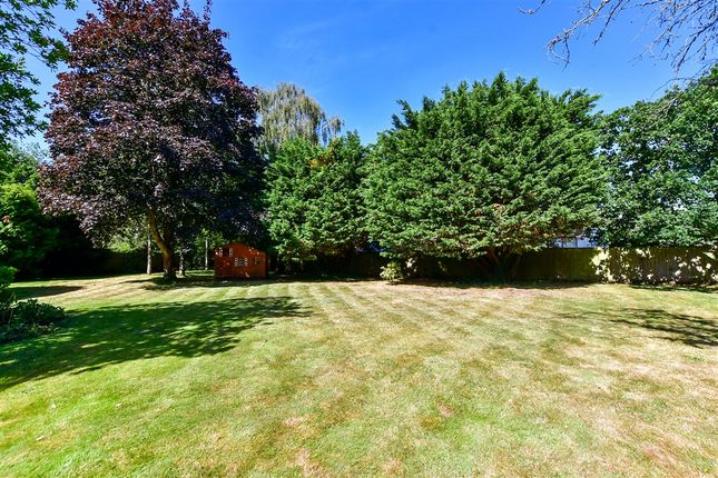 Duffield Lane, Emsworth photo 4