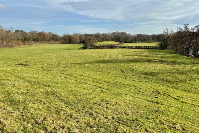 Land for sale in Brynich, Brecon, Powys.