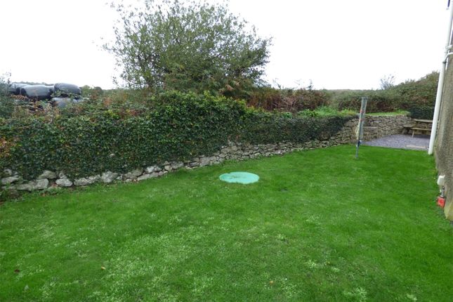Lawn