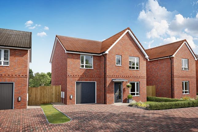 An Artist's Impression Of The Byrneham