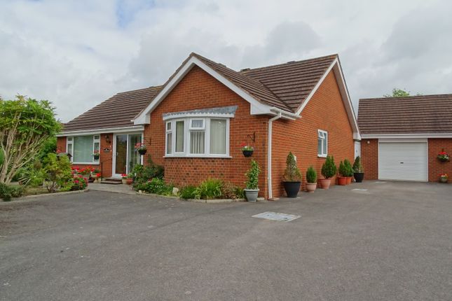 Thumbnail Detached bungalow for sale in Hilary Gardens, Axminster