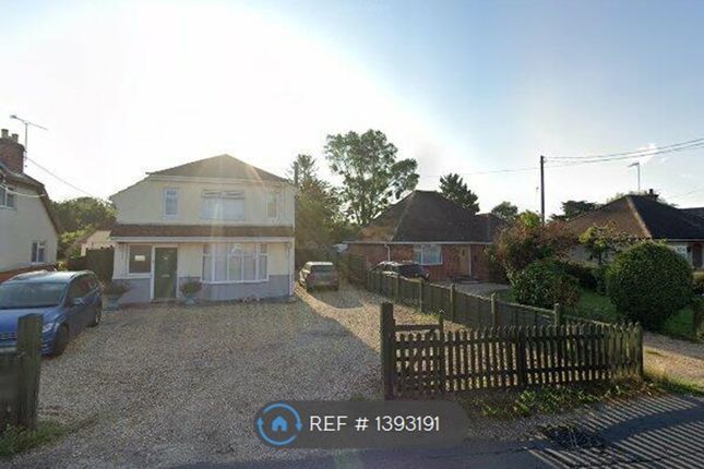 Thumbnail Bungalow to rent in Eastfield Lane, Ringwood
