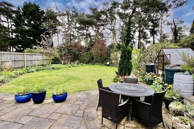 Bungalow for sale in Ivy Close, St Leonards, Ringwood