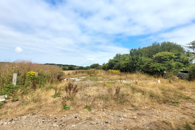 Barn with Class Q in 4.68 Acres, Redruth photo 4