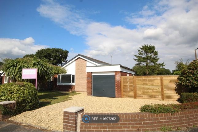 Thumbnail Bungalow to rent in Fairholme Close, Saughall, Chester