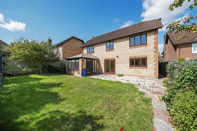 Thumbnail Detached house to rent in Edwards Meadow, Marlborough