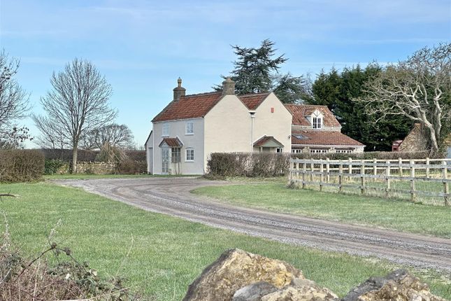 Thumbnail Property for sale in Wedmore