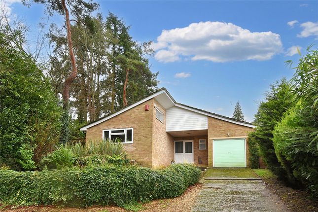 Detached bungalow for sale in Apple Tree Close, Newbury, Berkshire