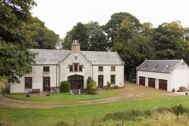 The Property