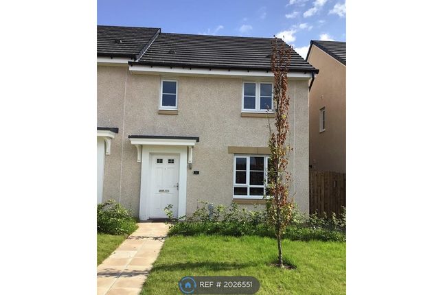 Thumbnail Semi-detached house to rent in Charpentier Avenue, Loanhead