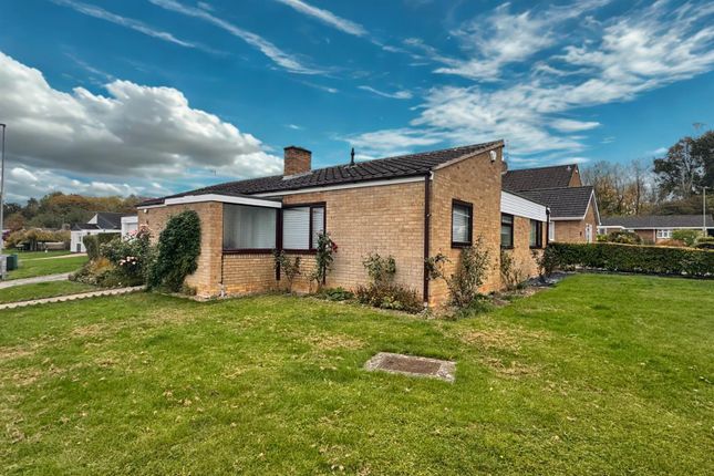 Untitled Design - 2025-10-20T124411.178.Png