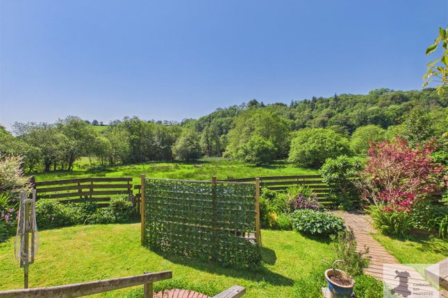 Tregroes, Llandysul photo 3
