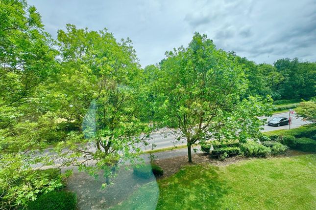 240, Monticello Way, Coventry photo 3