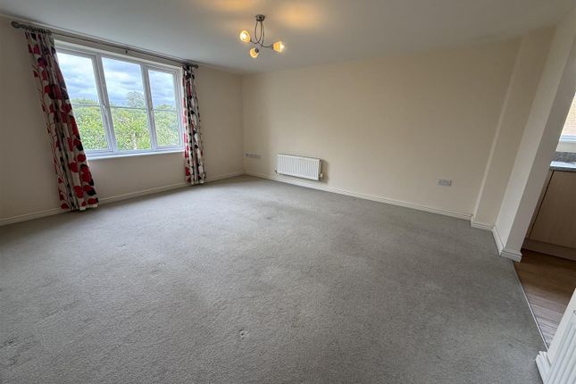 11B, Rhodfa'r Ceffyl, Kidwelly photo 4